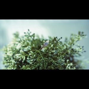 Meet your Posher, Kiem